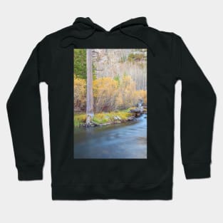 Autumnal Scene Hoodie